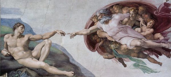 adam