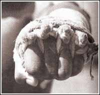 fist