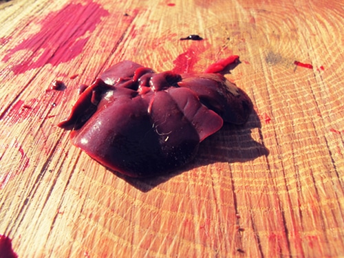 liver