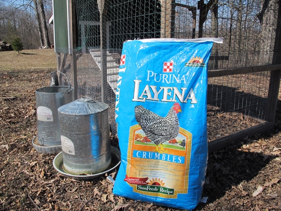 Food and water containers with Purina Crumbles.