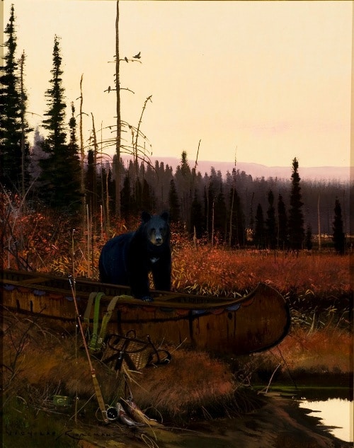 bear