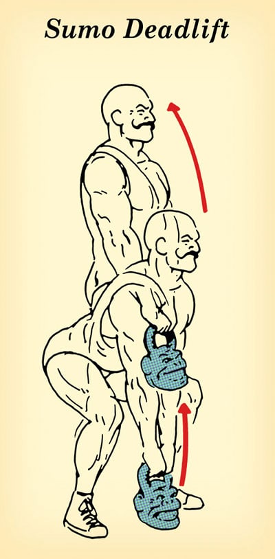 Sumo 500—1