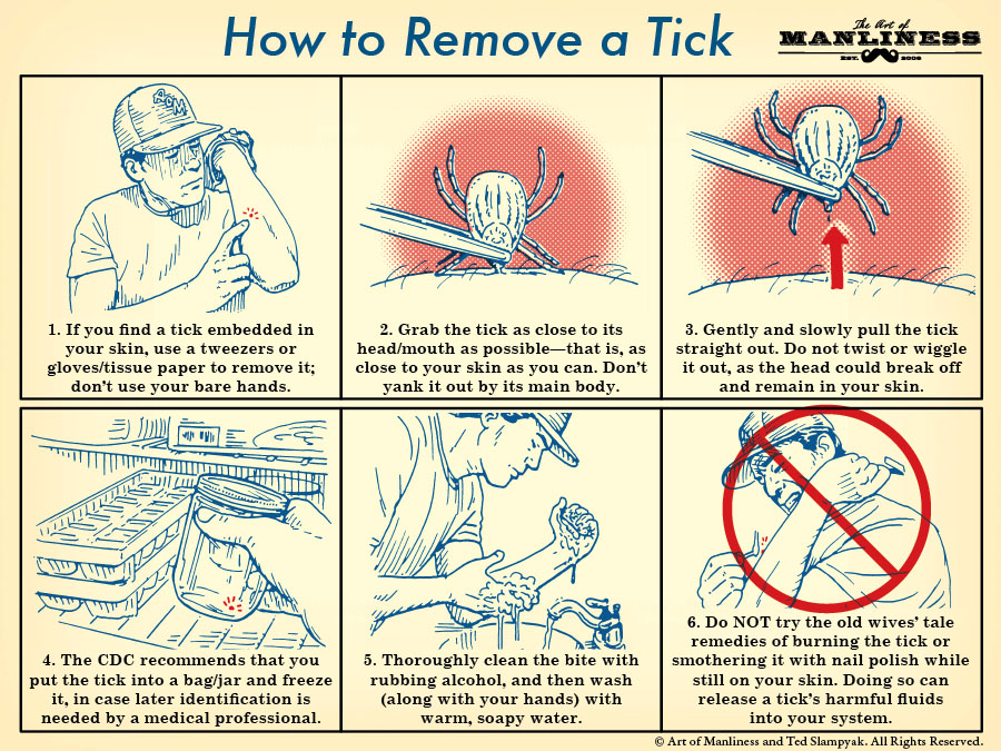 1. if you find a tick embedded in your skin, use a tweezers or gloves/tissue paper to remove it; don’t use your bare hands.  2. grab the tick as close to its head/mouth as possible – that is, as close to your skin as you can. Don’t yank it out by its main body.  3. gently and slowly pull the tick straight out. Do not twist or wiggle it out, as the head could break off and remain in your skin.  4. the CDC recommends that you put the tick into a bag/jar and freeze it, in case later identification is needed by a medical professional.  5. thoroughly clean bite with rubbing alcohol, and then wash (along with your hands) with warm, soapy water.  6. Do NOT try the old wives’ tale remedies of burning the tick or smothering it with nail polish while still on your skin. Doing so can release a tick’s harmful fluids into your system. 