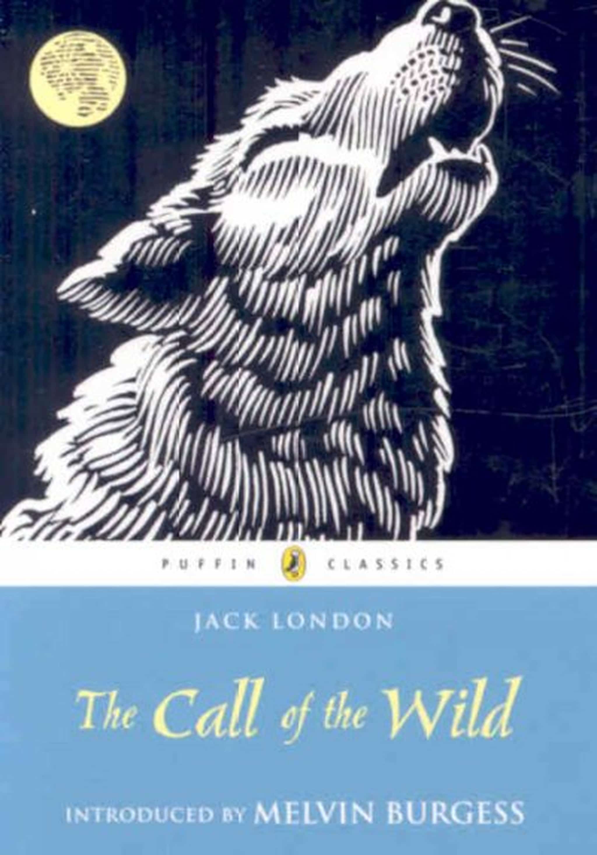 The Call Of The Wild Book Review Davidkennyreviews