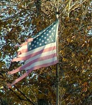 A tattered American flag in need of retirement