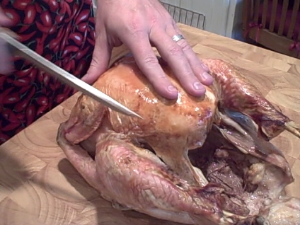 nov-16-2008-vid00058_1