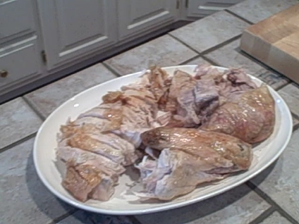 nov-16-2008-vid00058_10