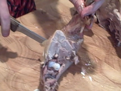 nov-16-2008-vid00058_2