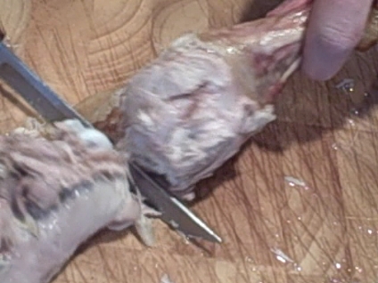 nov-16-2008-vid00058_3