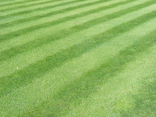 Mowing Stripes