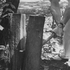 Thumbnail image for How to Split Firewood
