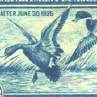 Thumbnail image for Federal Duck Stamps