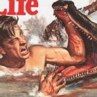 How to Wrestle an Alligator