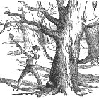 Thumbnail image for Manvotional: Aesop’s Fables