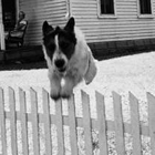 Building Your Resiliency: Part II – Avoiding Learned Helplessness and Changing Your Explanatory Style