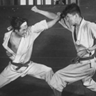 A Man’s Guide to the Martial Arts: Getting Started