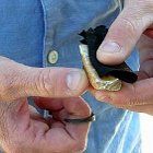 Thumbnail image for Traditional Firestarting Part I: How to Make Fire with Flint and Steel