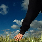 The Virtuous Life: Moderation