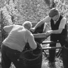 Thumbnail image for The Art of Winemaking: Part I