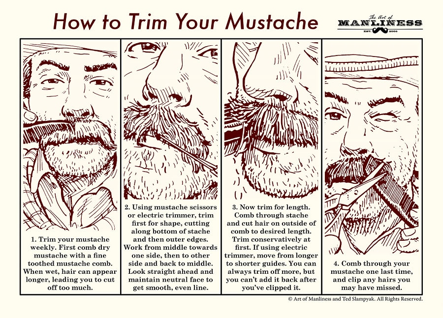 How To Trim Your Mustache An Illustrated Guide The Art Of Manliness