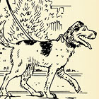 Dim & Dash: Walking the Dog