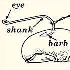 How to Remove a Fish Hook from Your Finger: An Illustrated Guide