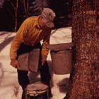 Thumbnail image for How to Make Maple Syrup Like a Vermonter