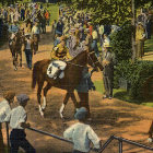 How to Bet on the Ponies