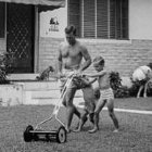 In Praise of the Push Reel Mower