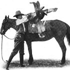 Saddle Up! How to Bridle and Saddle a Horse