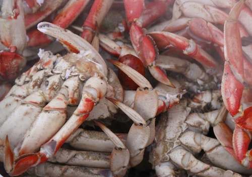 how long do you have to boil a crab until it is cooked ...
