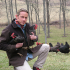How to Raise Backyard Chickens