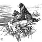 Thumbnail image for Are You a Sheep or Sheepdog? Part I