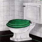 How to Install a Toilet