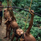 Thumbnail image for The Yanomamö and the Origins of Male Honor