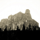 Thumbnail image for Getting in Touch with the Wilderness