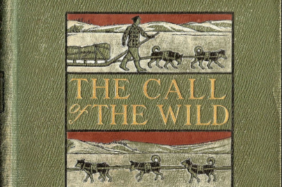 Experience the thrilling adventure in this fictional book.