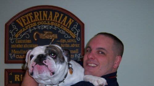 A veterinarian holding a bulldog.
