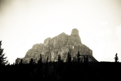A black and white photo of a mountain wilderness with trees in the background.
