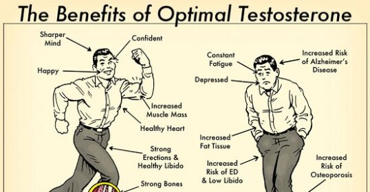 Discover the countless advantages of optimal testosterone levels, including improved vitality and overall well-being.