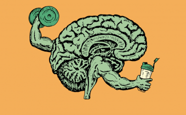 An image of a brain engaged in a training program with a dumbbell to strengthen its cognitive abilities.