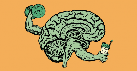An image of a brain engaged in a training program with a dumbbell to strengthen its cognitive abilities.