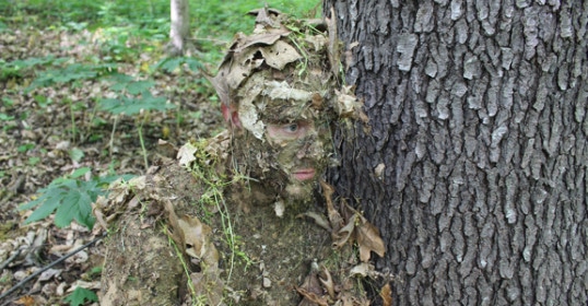 natural camouflage in woods