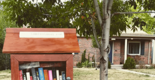 how to wow frances cole jones book cover