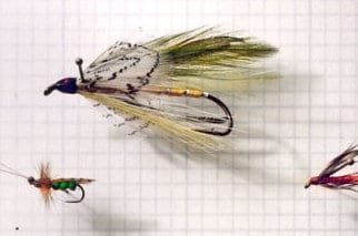 Four different types of flies hover over a sheet of paper.