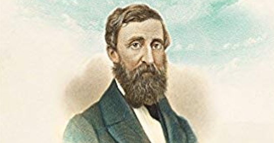 An image of a man with a mystical beard.