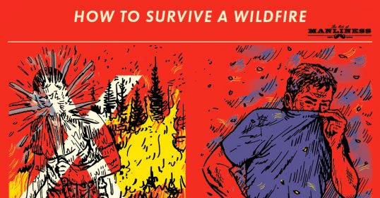 How to survive a wilderness emergency poster.