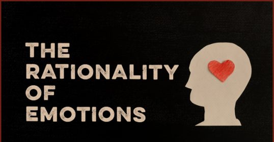 Examining the rationality of emotions.
