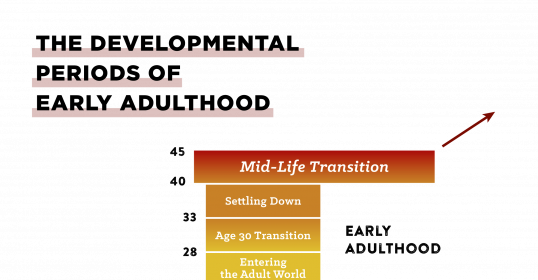The developmental phases in a man's life during early adulthood.