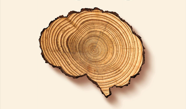The book cover features a tree slice, connecting readers to nature.